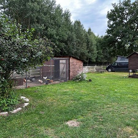 Zamieszkaj Na Wsi Blisko Warszawy Villa Borucza Екстериор снимка